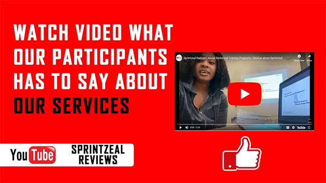 Sprintzeal Our Services